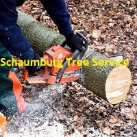 Schaumburg Tree Service image 1
